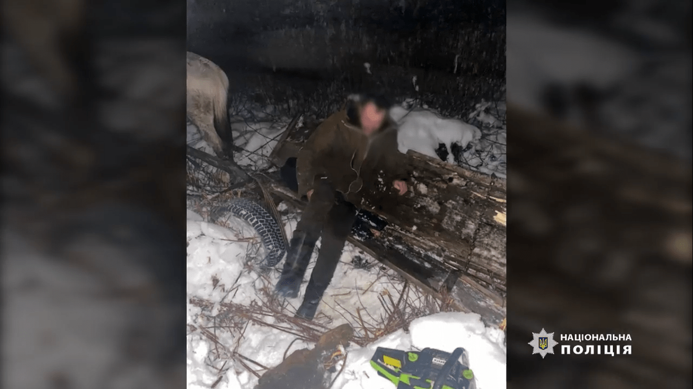 Знімок екрана (544)