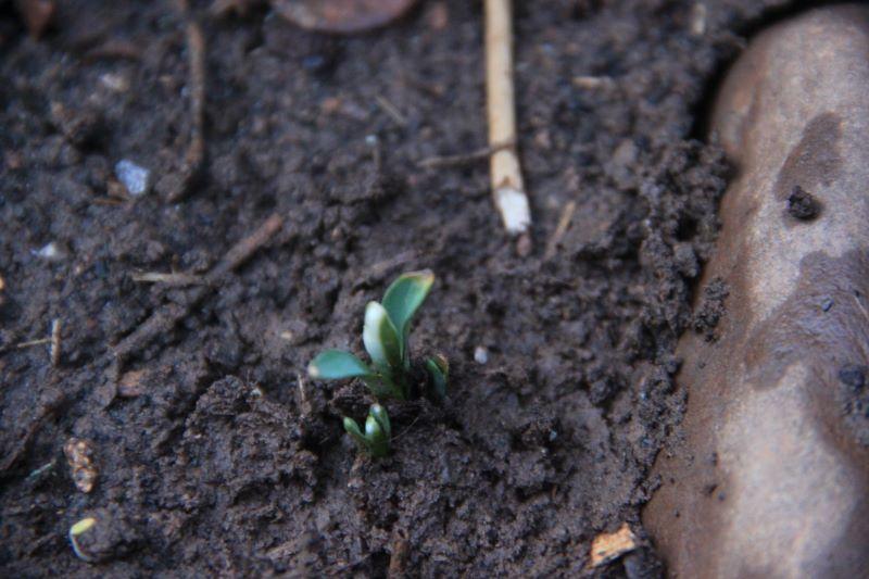 271593916_1436243780103634_1142309055718294645_n