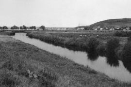 У річці поблизу Бурштинської ТЕС зашкалює рівень забруднення