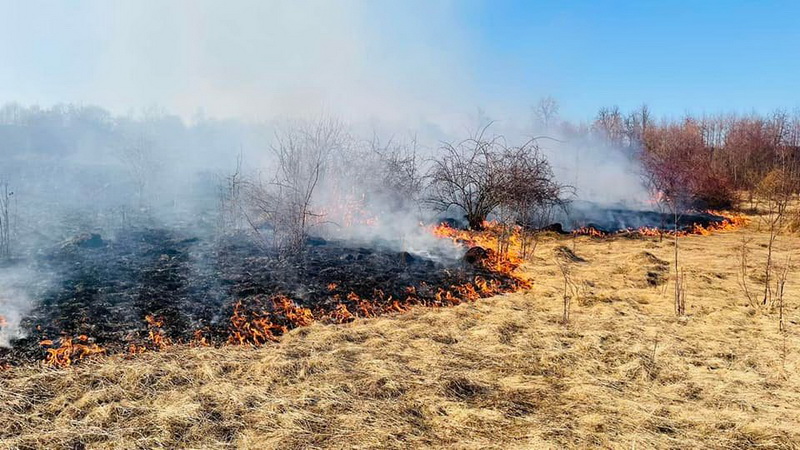 В уряді хочуть посилити відповідальність за спалення сухої трави