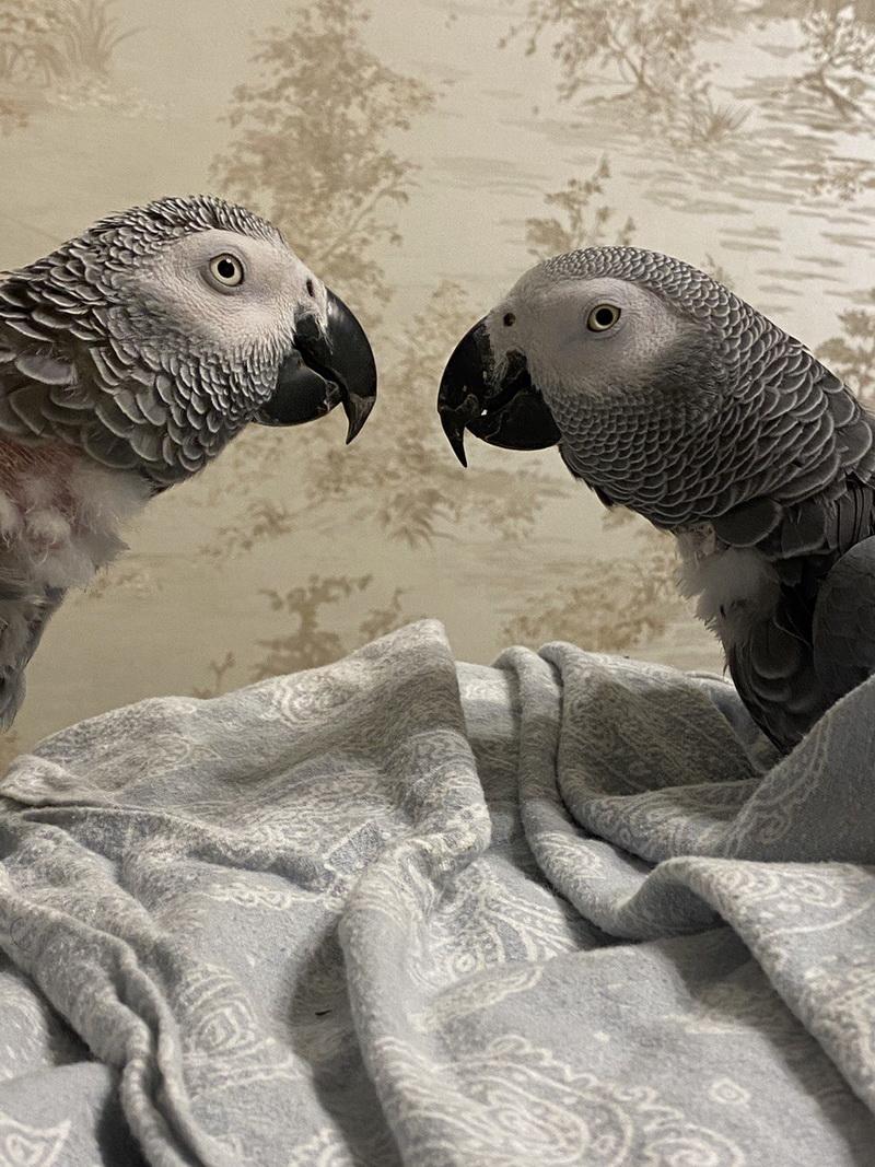 photo_2022-04-30_17-33-31 (3)