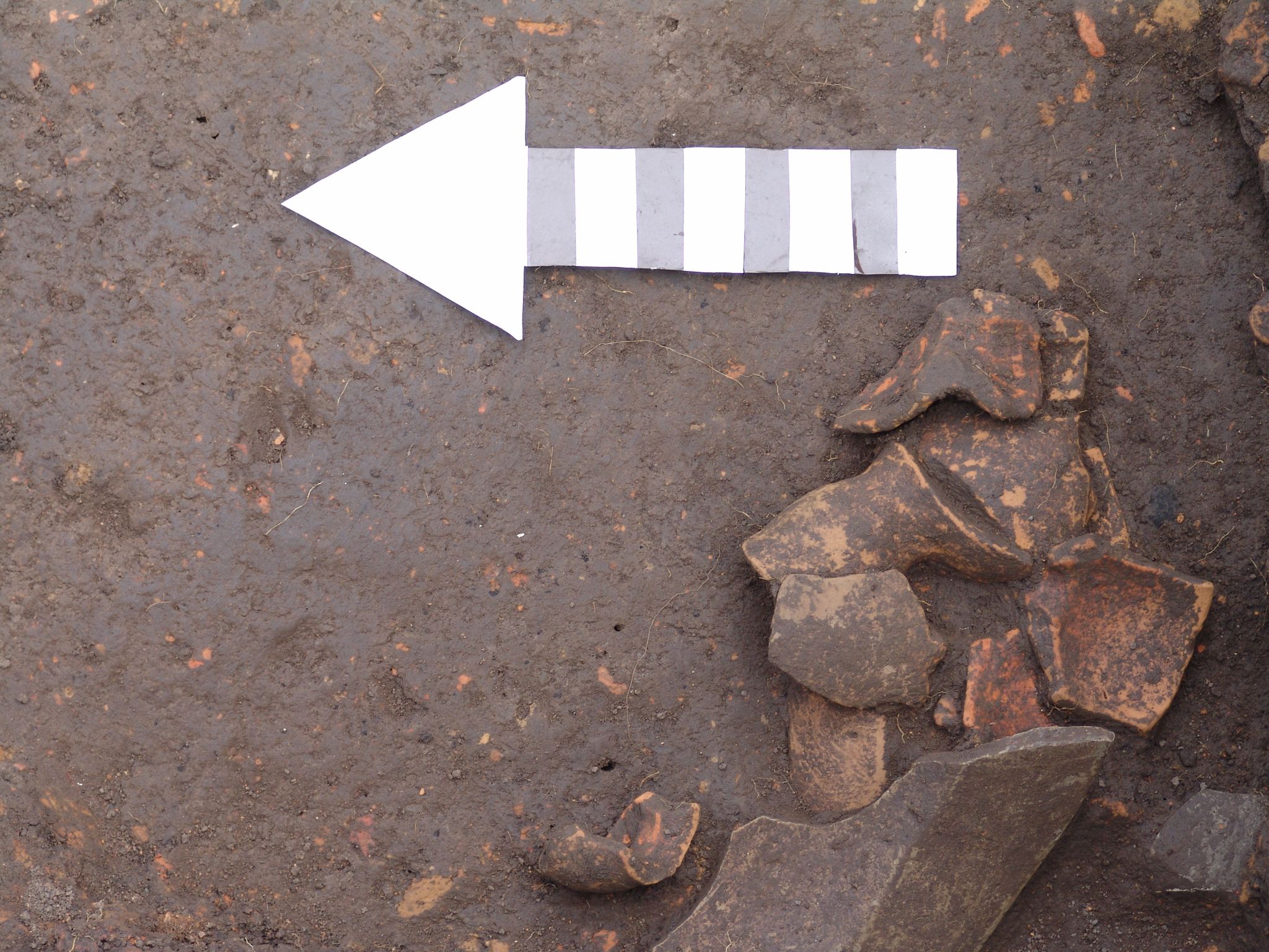 На Прикарпатті археологи знайшли нові артефакти: чому це важливо