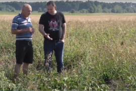 У Братківцях аграрії збирають урожай (ВІДЕО)