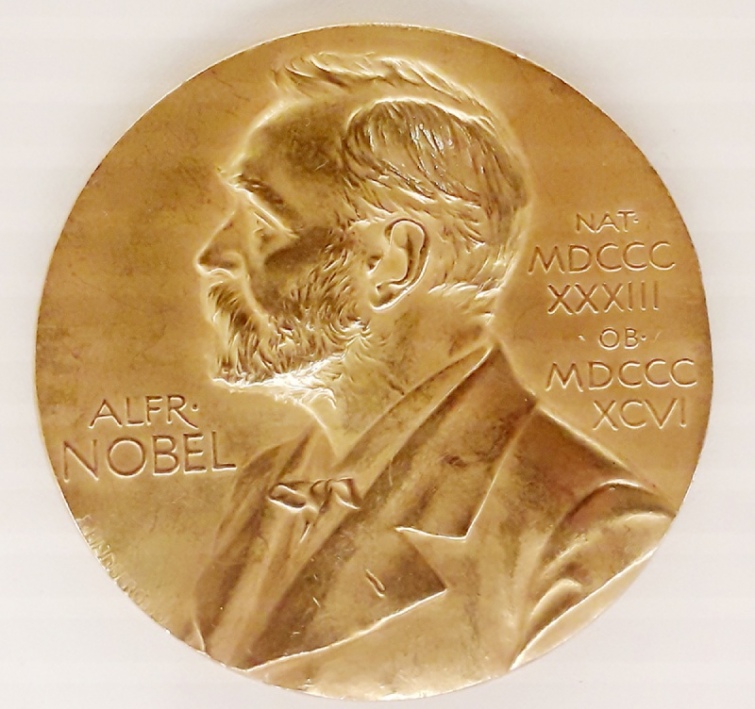 Зеленський Нобелівська премія миру новини Прикарпаття