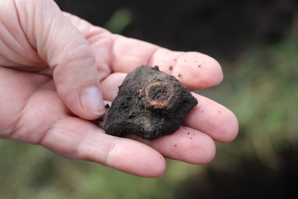 Археологи виявили нові знахідки на Франківщині