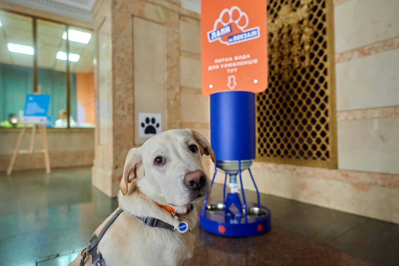 Вокзал у Франківську облаштують поїлкою для собак
