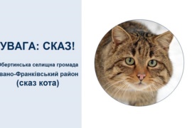 В одному з сіл на Прикарпатті ввели карантинні обмеження через сказ кота