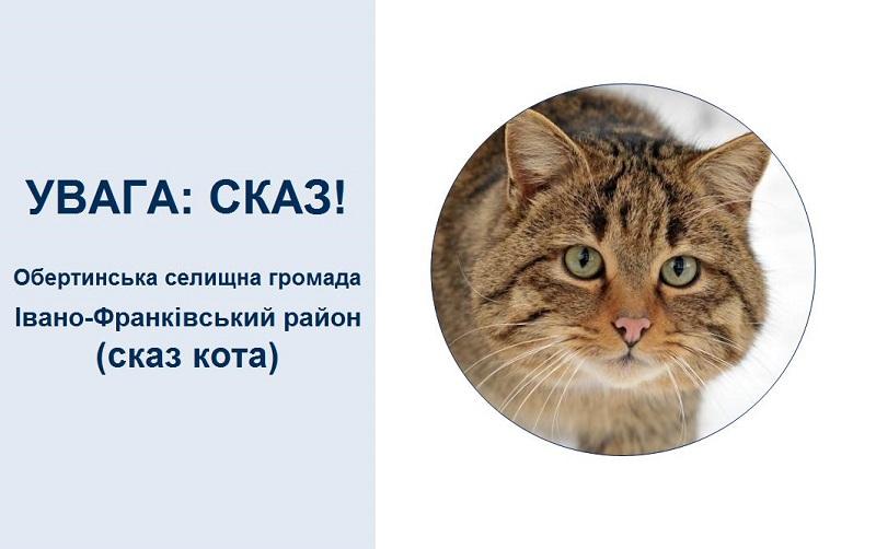 В одному з сіл на Прикарпатті ввели карантинні обмеження через сказ кота