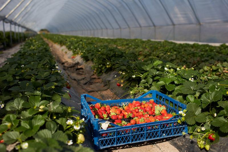 polunitsia-chukalivka