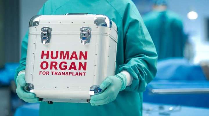 нирок, трансплантацій