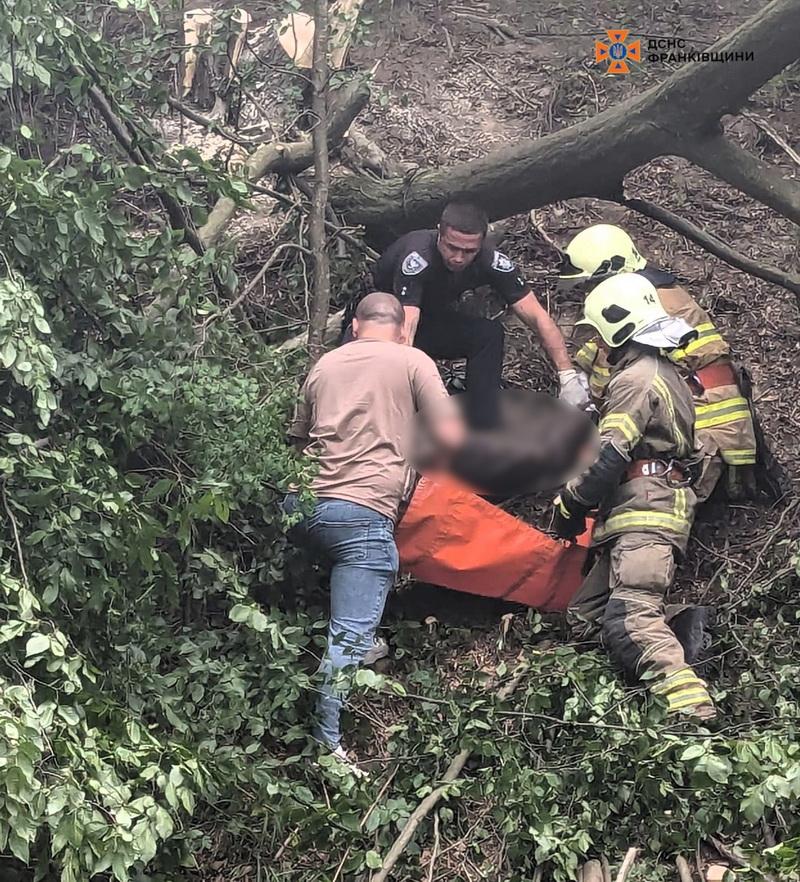 На Косівщині на чоловіка впало дерево, він загинув