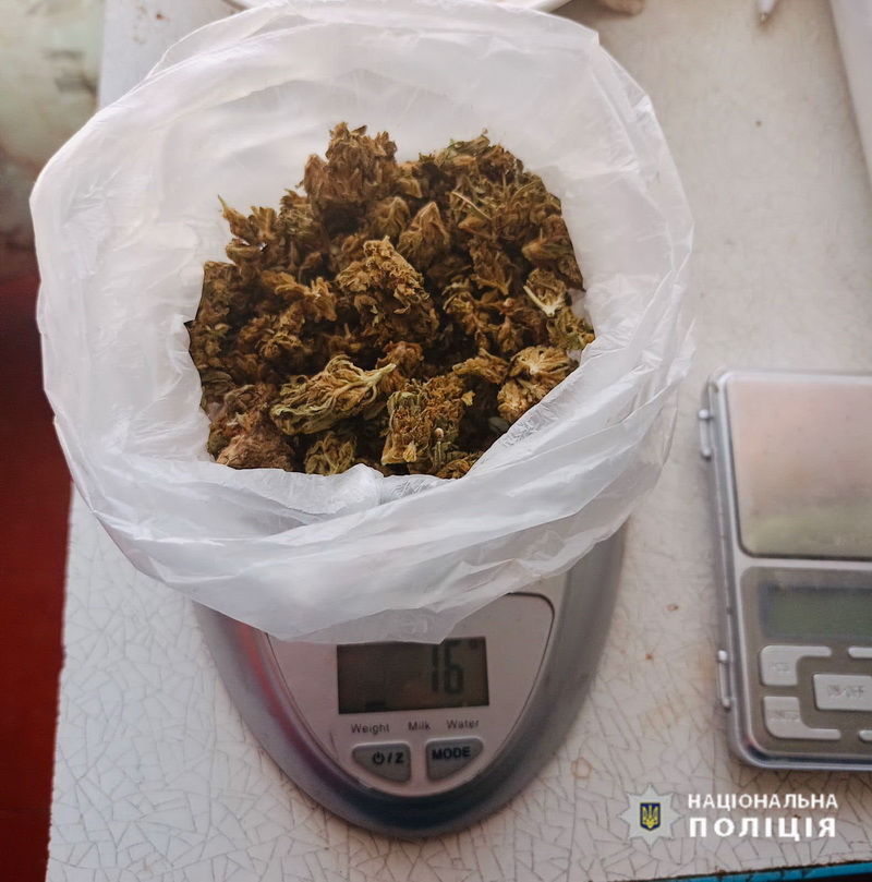 455309637_504399955567572_8278572983432630547_n