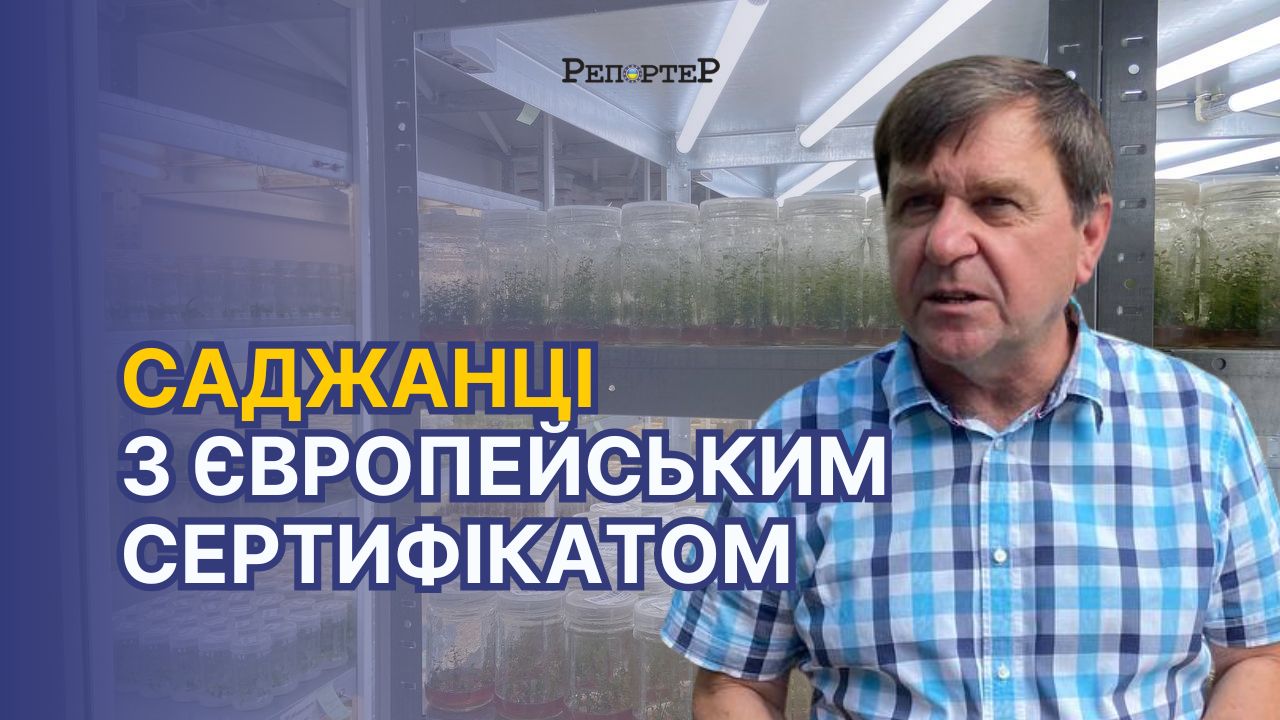 photo_2024-08-09_16-12-25