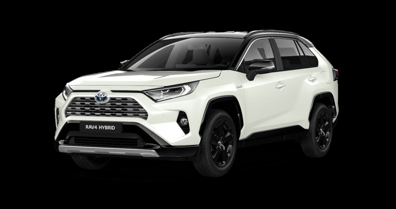 1134-1094_1028_rav4_330