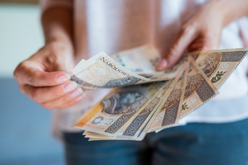 The,Girl,Holds,In,Her,Hands,Banknotes,Money,Polish,Zlotys