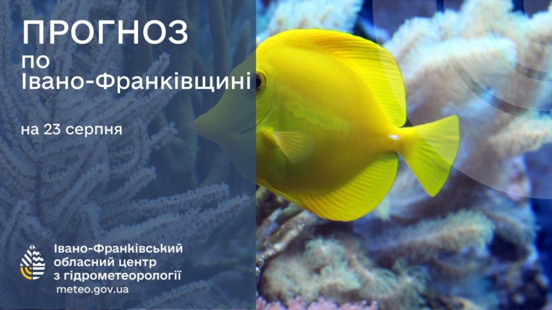 Якою буде погода на Прикарпатті 23 серпня