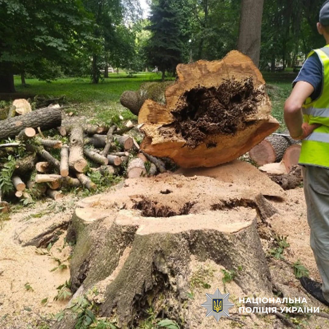 527883922_762985886375643_4833016495398542103_n