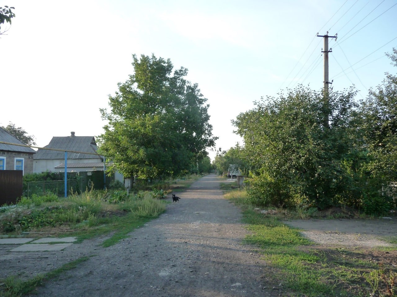 Як переселенці справляються з психологічними викликами після втрати дому