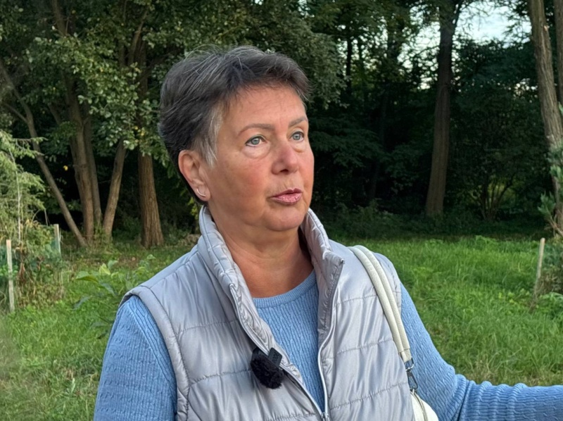 Будівництво дороги на зеленій зоні біля міського озера