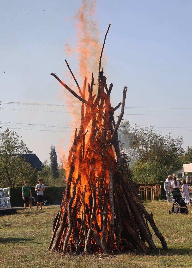 Едельвейс, фестини ремесел, Корнич