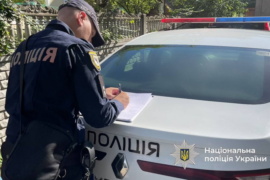 На Прикарпатті водій легковика збив отару овець і втік з місця події