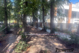 Загроза озеру? Мешканці садового товариства у Франківську звинувачують «Ярковицю» у шкоді екології