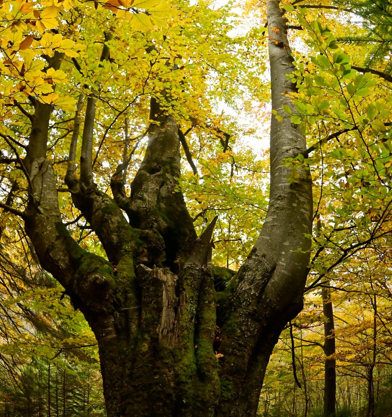 569332995_832329552678534_8330015615011184847_n