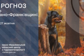 У понеділок на Франківщині прогнозують невеликий дощ