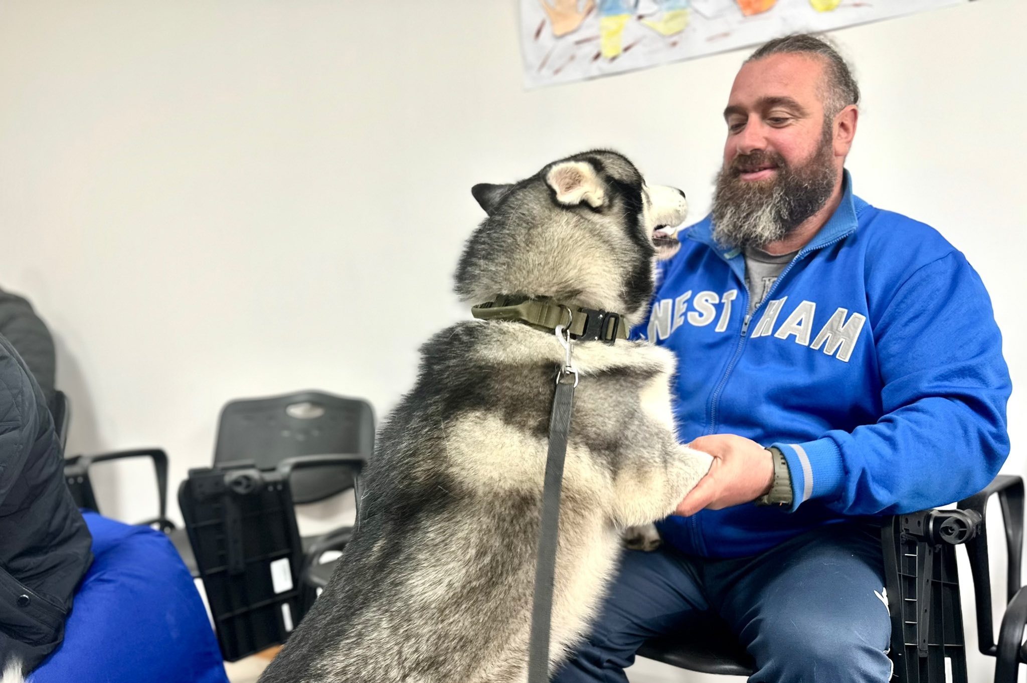 каністерапія