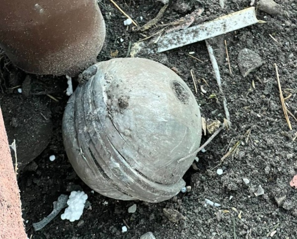 586370129_1168412122051917_9220769332295297831_n