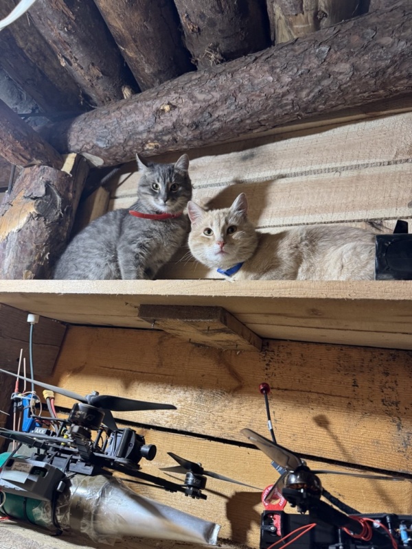 Студенти-військові КНУВС, ПНУ, журналістика, війна