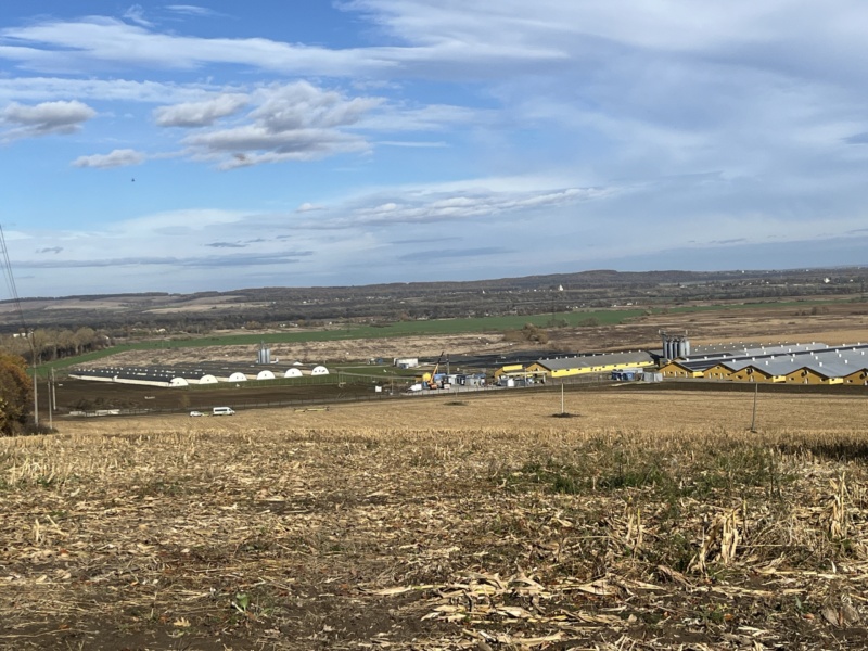 Через 11 років міжнародна перевірка підтвердила шкоду від ферми «Даноші» на Прикарпаття