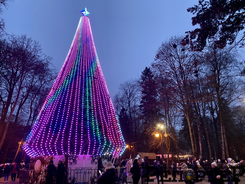 ялинка франківськ 2024