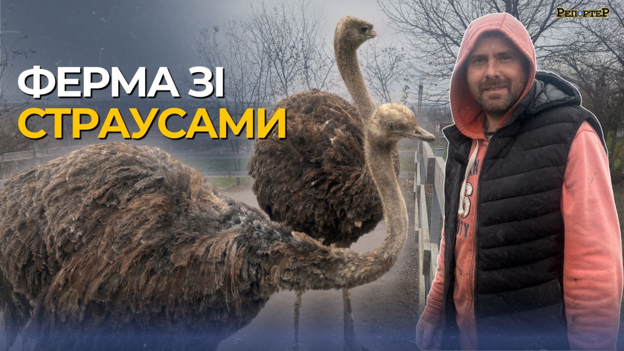 photo_2025-11-19_13-02-07