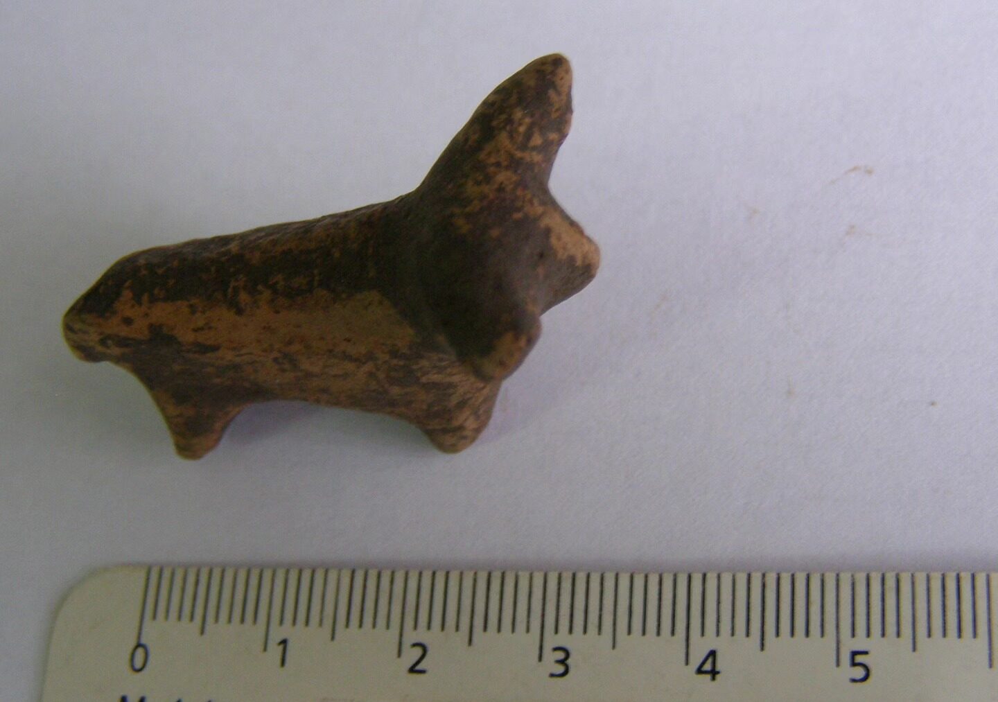 бичок трипільський