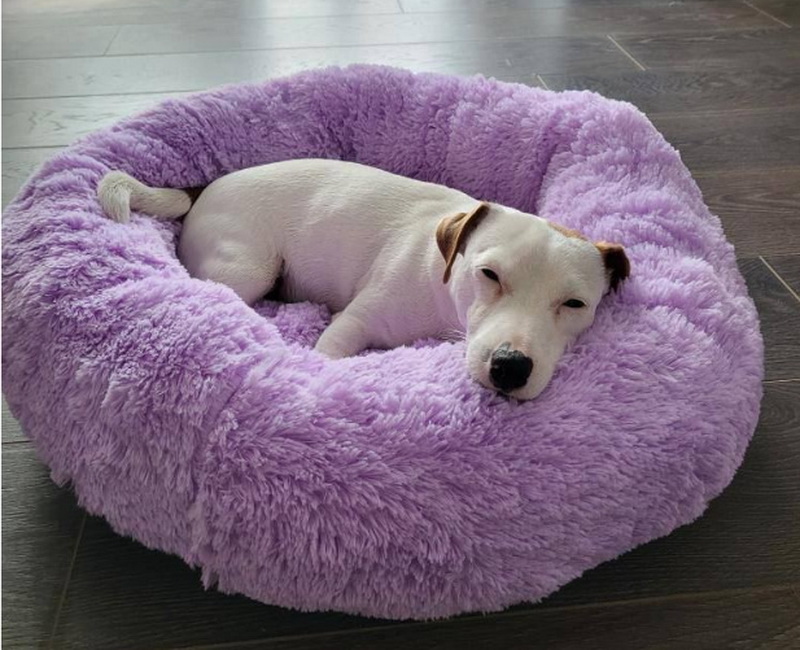 лежанки для великих собак