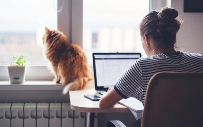 дистанційна-робота