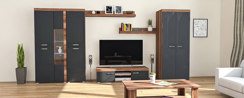 mebelnye-stenki-dlya-gostinoy