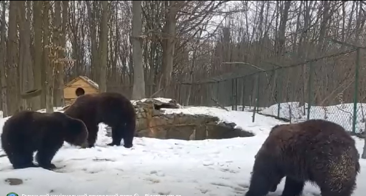 b14dfb87-1abd-438d-a163-eab8ee924ed8