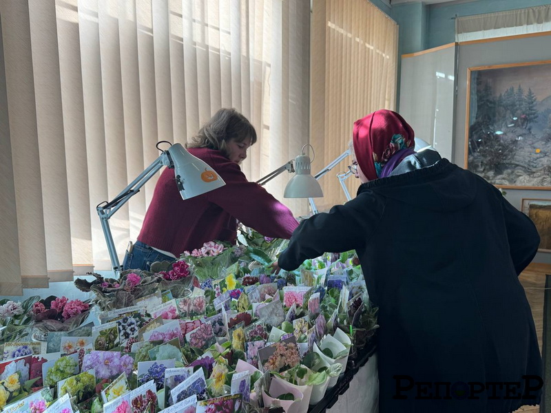 Волонтерський ярмарок_01