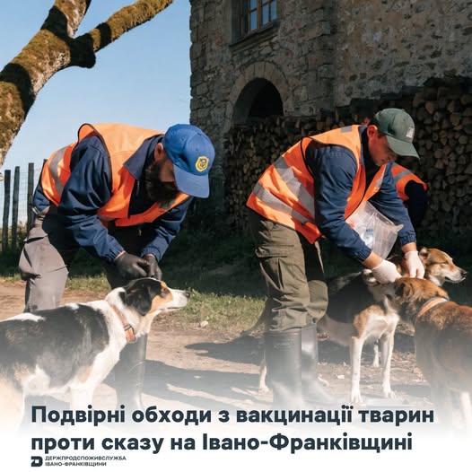 648575056_1232154865762380_8549867072398591822_n