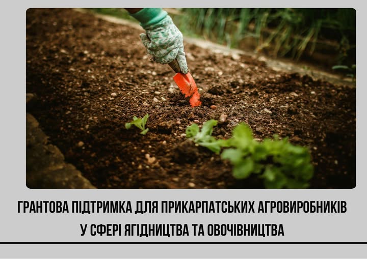 651019253_949346097430262_6031630302721700739_n