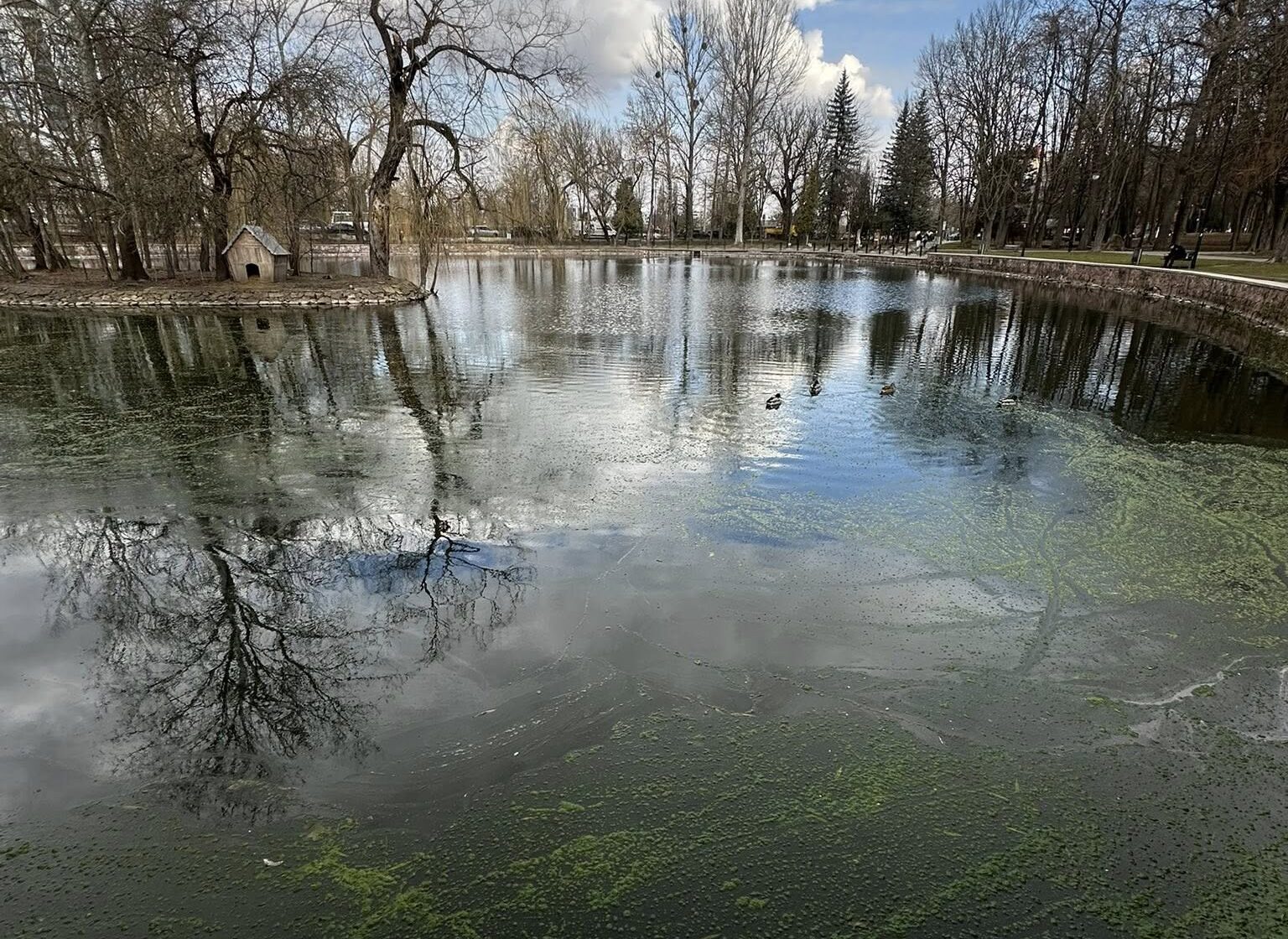 655611236_1344309961058380_5946244530107619538_n