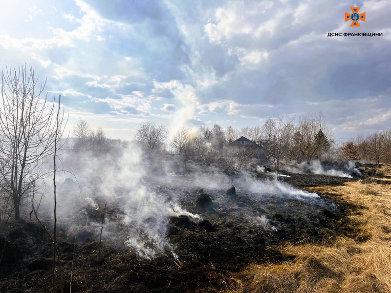 ДСНС-спалювання трави5