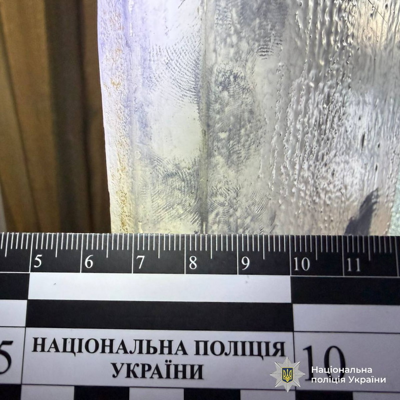 Рецидивіст пограбував жінку в її будинку