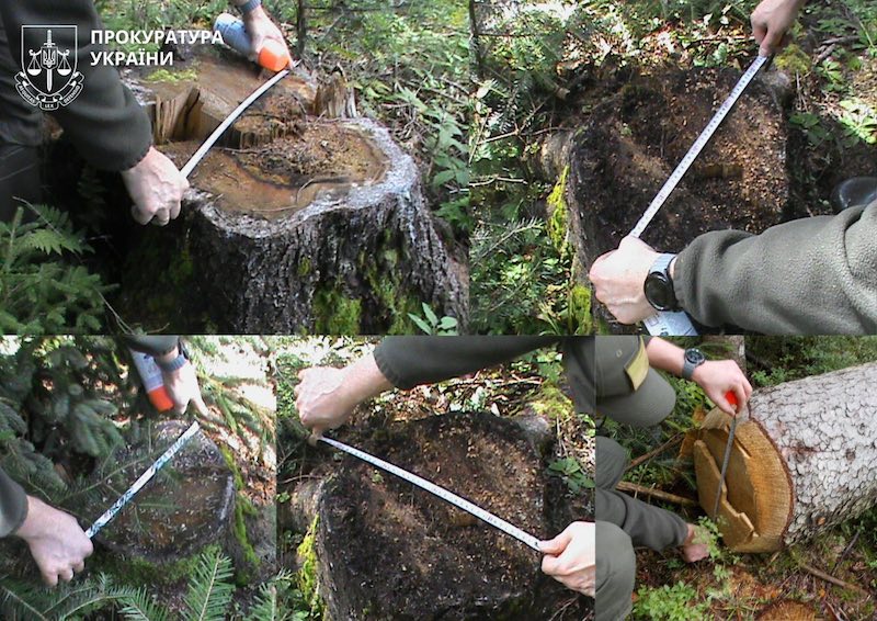 кутський лісгосп-прокуратура