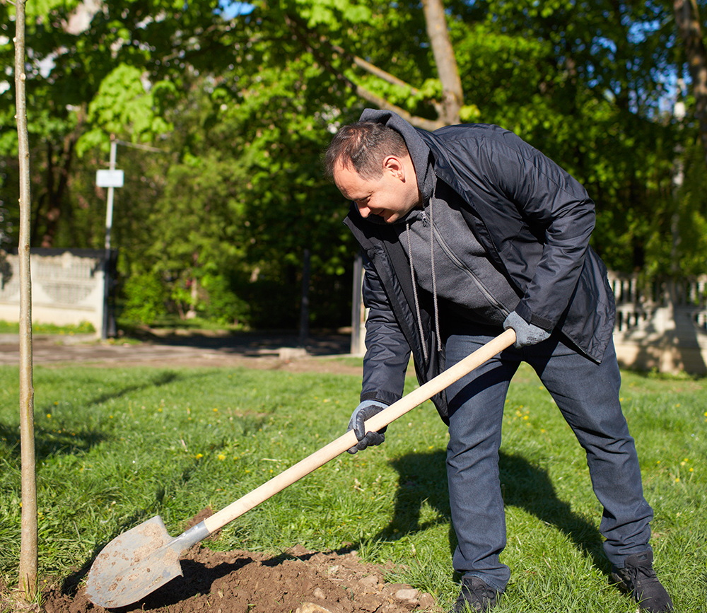 марцінків-толока