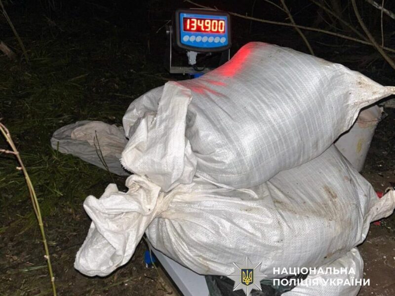 наркотики 6