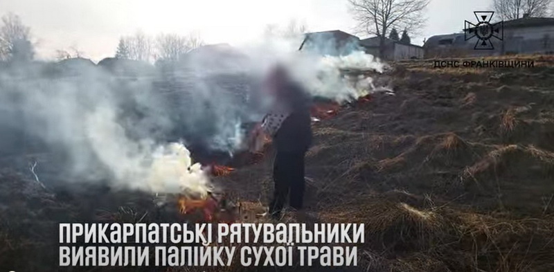 палійка-трави