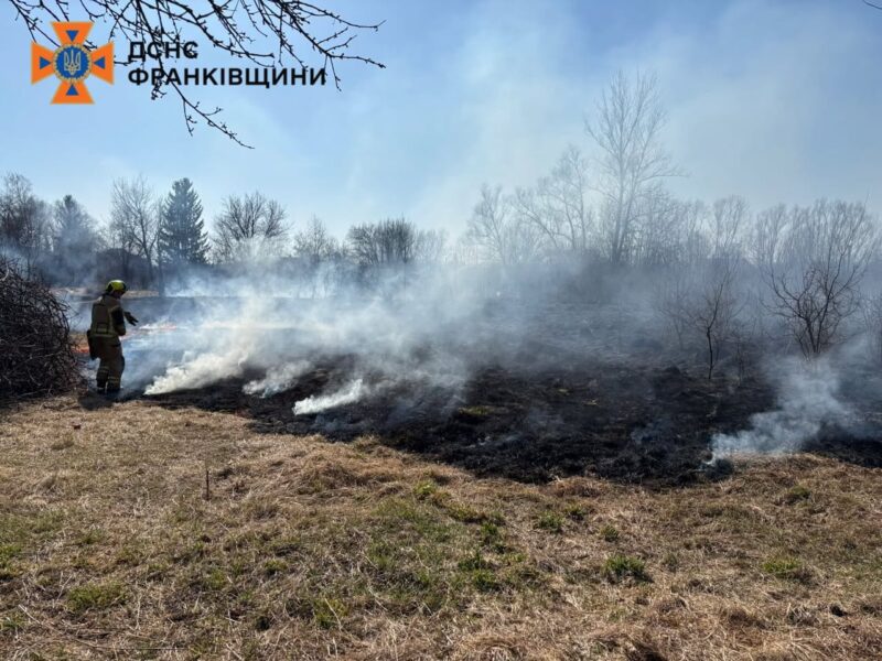 За добу на Прикарпатті виявили ще 10 паліїв сухої трави